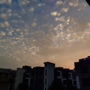 少年阿宾沈娜娜
