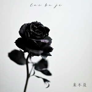 少年阿宾沈娜娜
