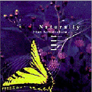 少年阿宾沈娜娜
